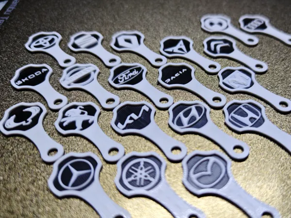 https://makerworld.bblmw.com/makerworld/model/USf5a3da6c4cac28/design/2025-05-21_43843bf101586.jpg