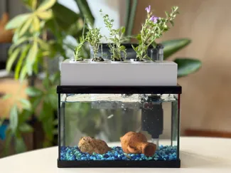 Hydroponic Seedbed for Aquarium Clean & Modular