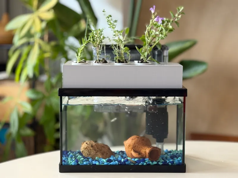 Hydroponic Seedbed for Aquarium Clean & Modular