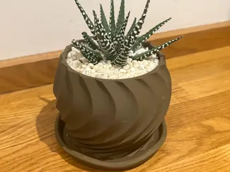 PLANT POT