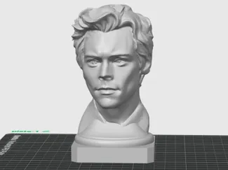 Harry Bust