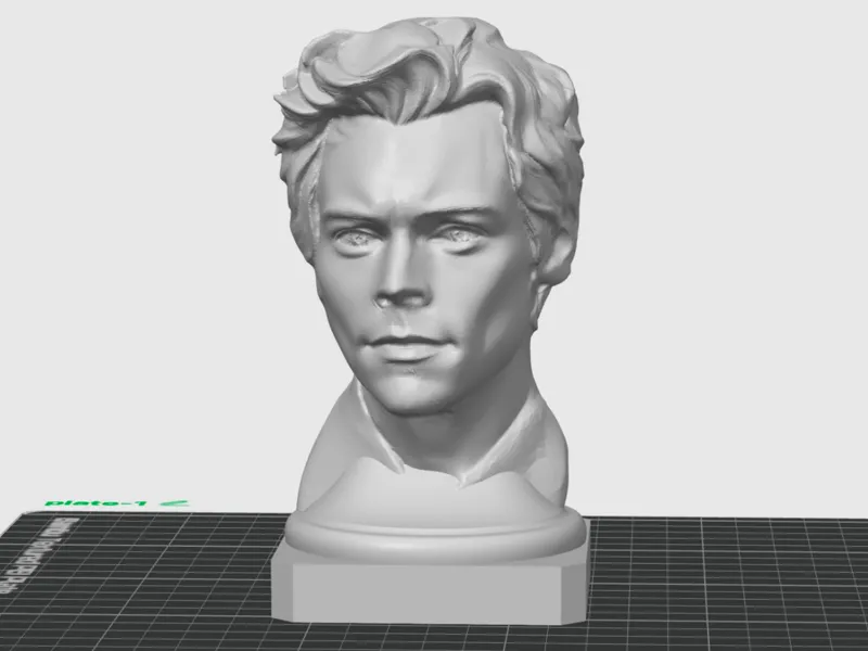 Harry Bust