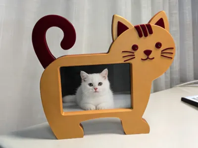 6-inch color-blocked kitten photo frame