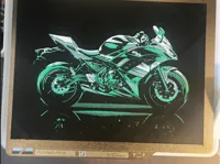 Kawasaki Ninja Hueforge 
