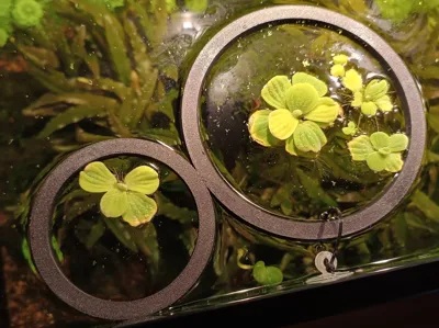 Perforated Floating Plant Islands 10,15,20 cm