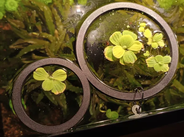 https://makerworld.bblmw.com/makerworld/model/USf5aeca73ad4b2/design/94cd5d2b81f4597b.jpg