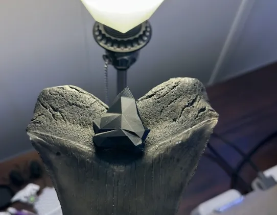 Low-Poly Megalodon Shark Tooth