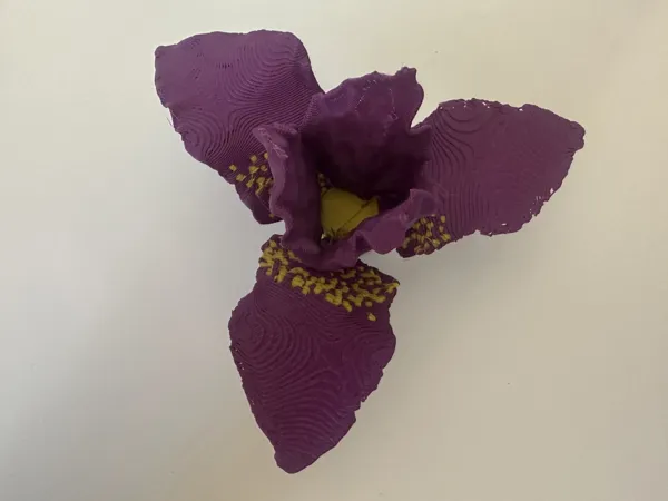 https://makerworld.bblmw.com/makerworld/model/USf5b1951708c08e/design/2025-01-14_495f6f2d5722d8.jpg