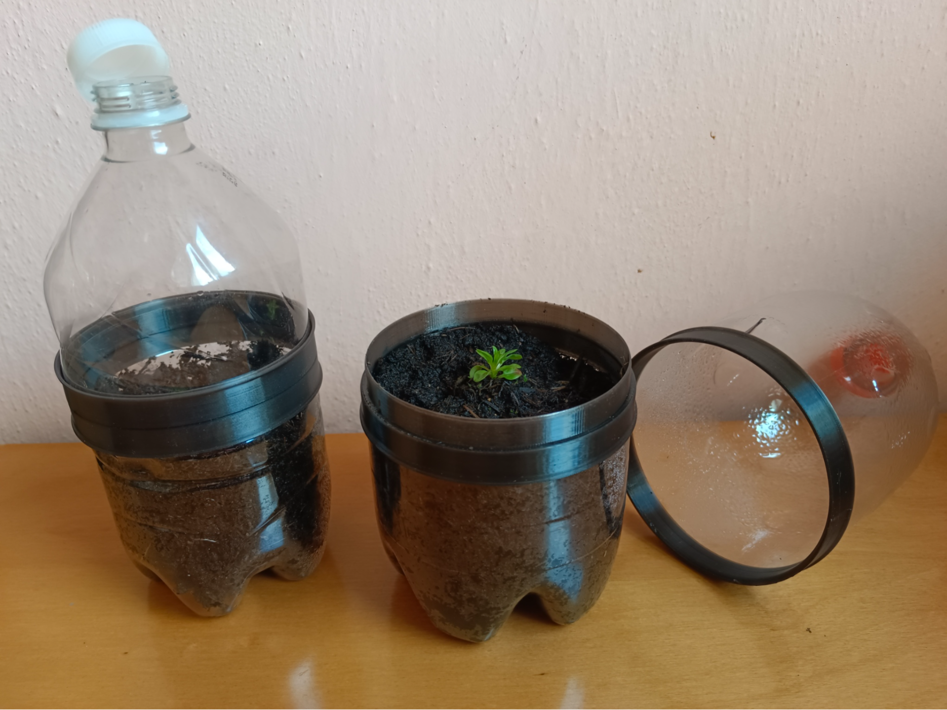 mini greenhouse for pre-growing plants