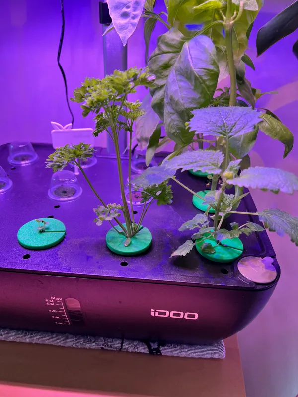 https://makerworld.bblmw.com/makerworld/model/USf5b5d717731a04/design/2024-03-22_1b5fcb7de2d68.jpg