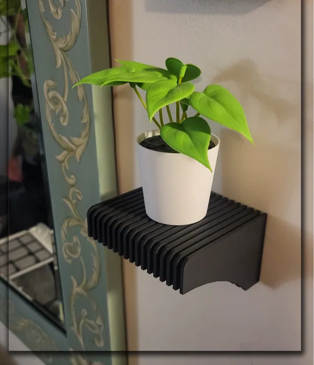 Contemporary Floating Shelf
