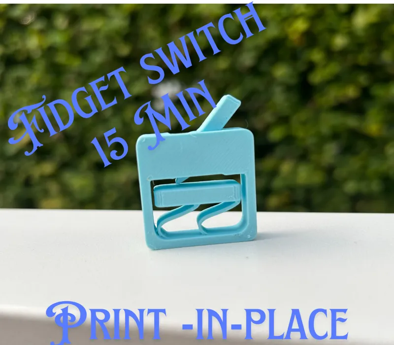 Fidget switch