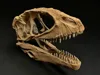 Carcharodontosaurus