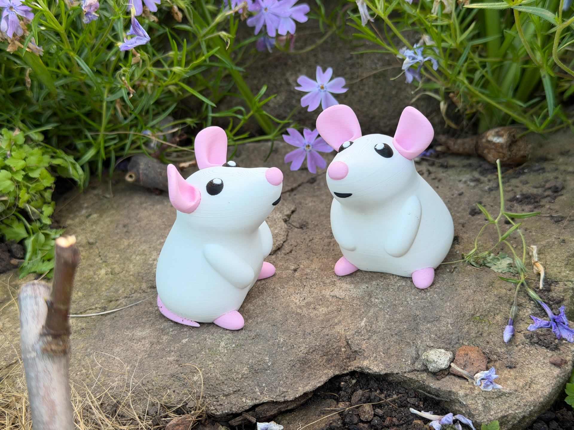 Cute Mouse
