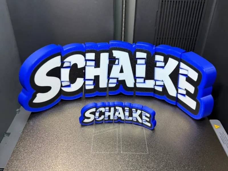 Schalke Flexi