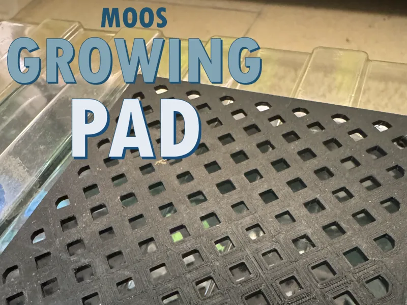 Moos Growing Pad