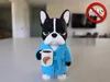 Frenchie, No AMS