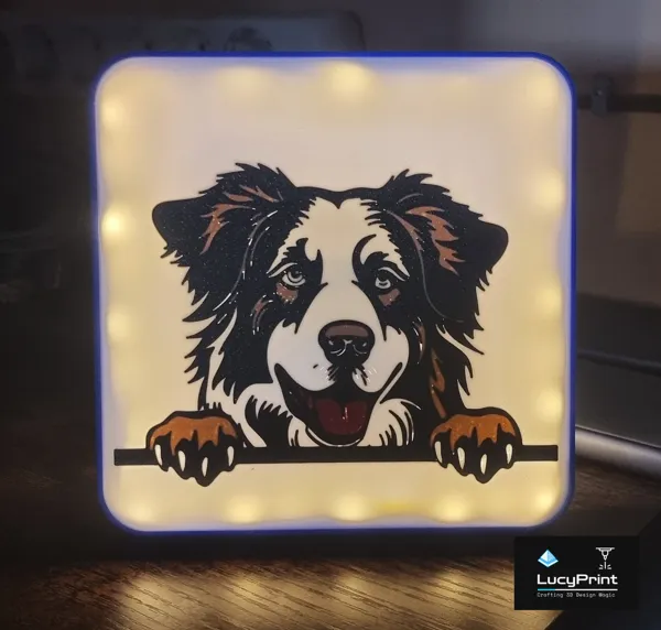https://makerworld.bblmw.com/makerworld/model/USf5cb852708a170/design/2024-05-07_20bb63804562e.jpg