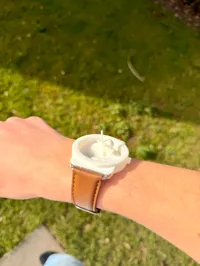 For AppleWatch 0.08mm layer, 2 walls, 15% infill