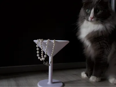 Martini Glass (Decoration & Jewelry Holder)