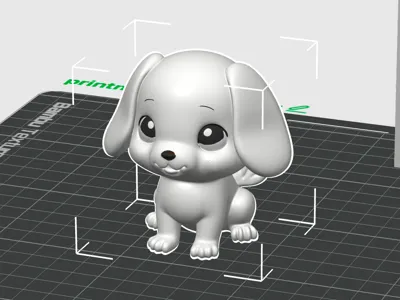 cute dog