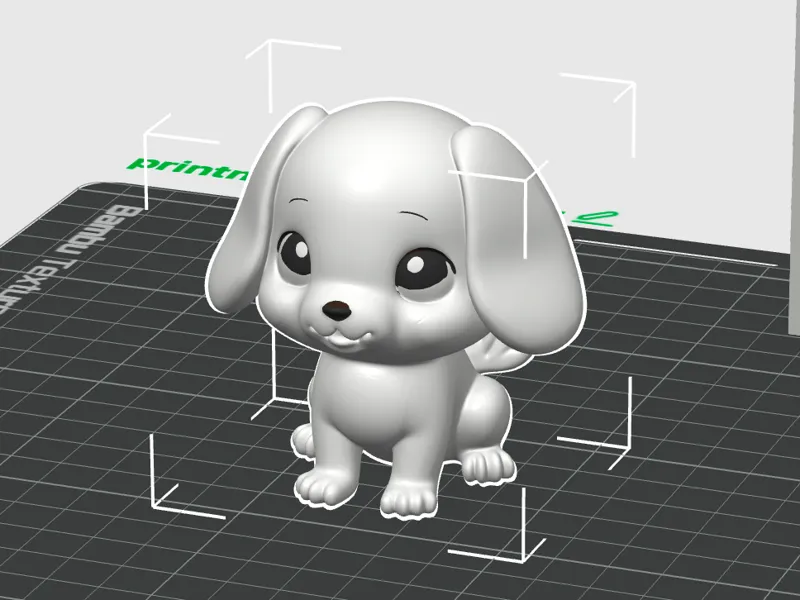 cute dog