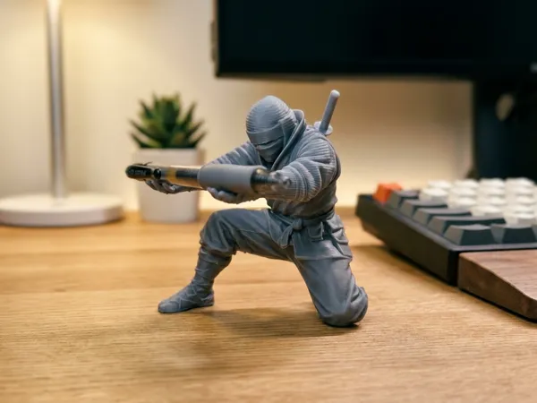 https://makerworld.bblmw.com/makerworld/model/USf5d3aa1f5cdfa9/design/f66336f6b7d8f2d5.jpg