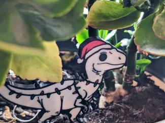 FrostyRaptor