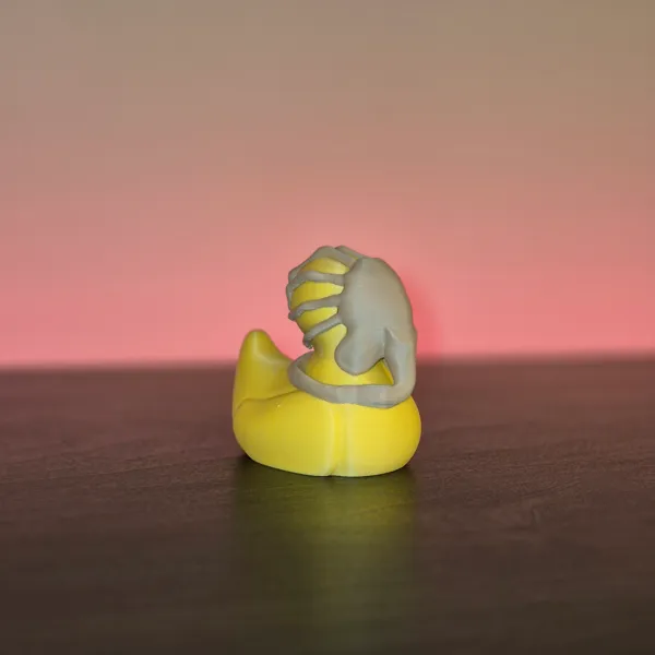 https://makerworld.bblmw.com/makerworld/model/USf5d6b598174ee2/design/2024-11-22_1de5e7d432e508.jpg
