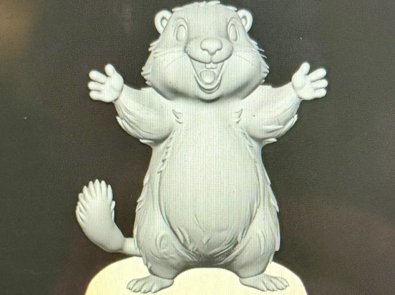 Groundhog Shadow Discovery Model