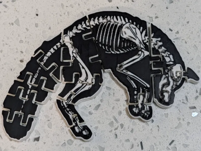 Flexi Skeleton Fox