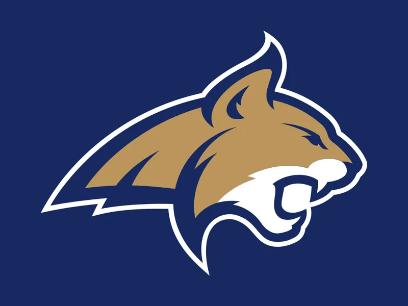 Montana State Bobcats light box
