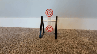Dual Auto Reset Target with Quick Swap Target