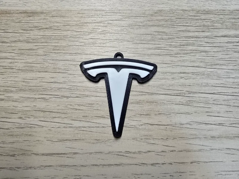 TESLA porta chaves