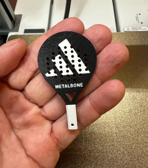 https://makerworld.bblmw.com/makerworld/model/USf5e12976704652/design/2024-09-10_41914f02e52ee.jpg