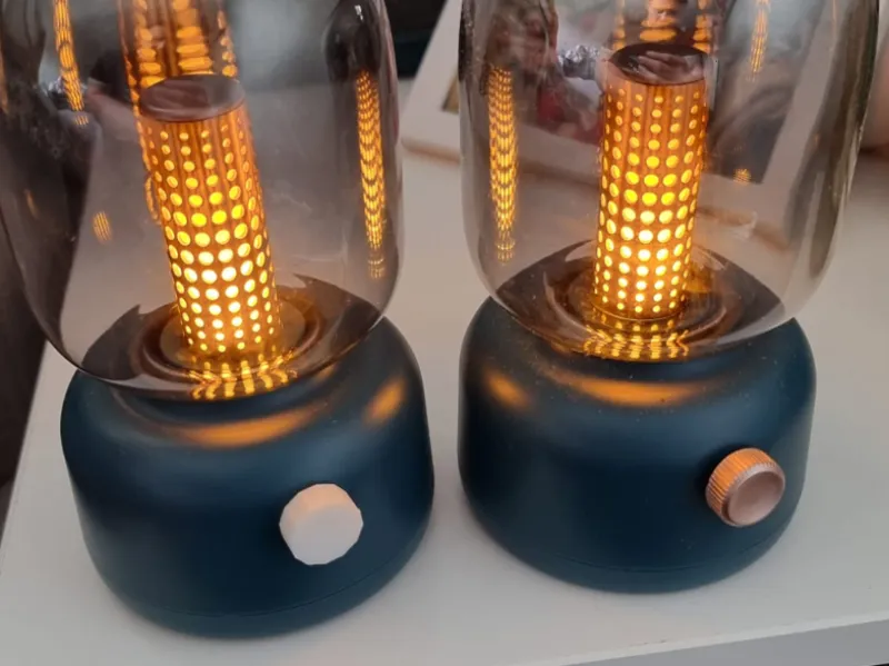 Smilodon Bedside Lamp Dial