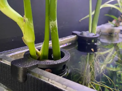 rotating aquarium planter