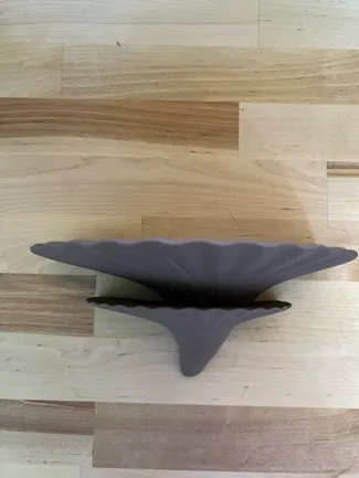 Double Mushroom Shelf
