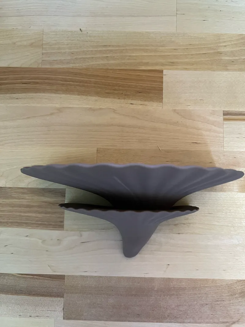 Double Mushroom Shelf