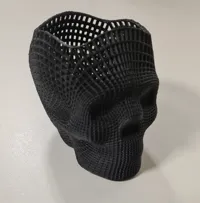 0.12mm layer, 2 walls, 15% infill