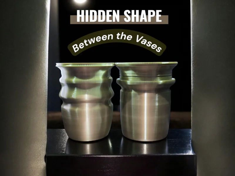 Hidden Shape Vase