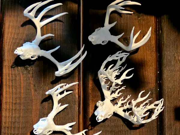 https://makerworld.bblmw.com/makerworld/model/USf5f43ae11349b5/design/2025-03-26_f50ac12ba2b11.jpg