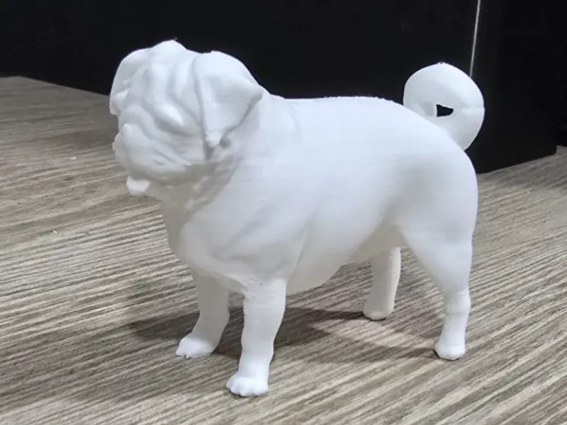 Pug Miniature