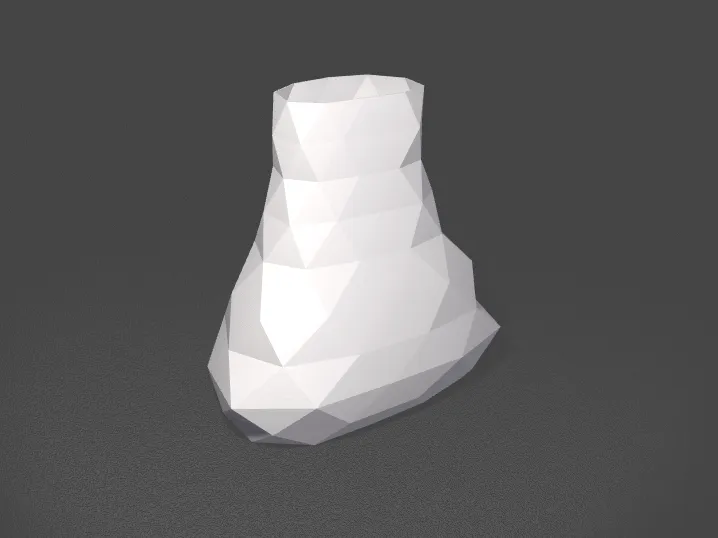 Organic Geometric Vase