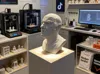 0.2mm layer, 2 walls, 6% infill