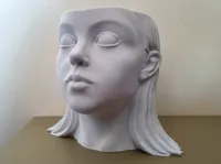 0.2mm layer, 2 walls, 6% infill