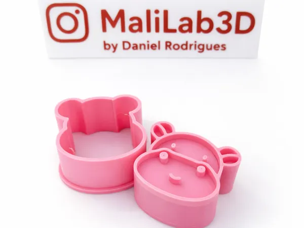 https://makerworld.bblmw.com/makerworld/model/USf5ffb50c0a36e1/design/4f0592505f0ae54f.png