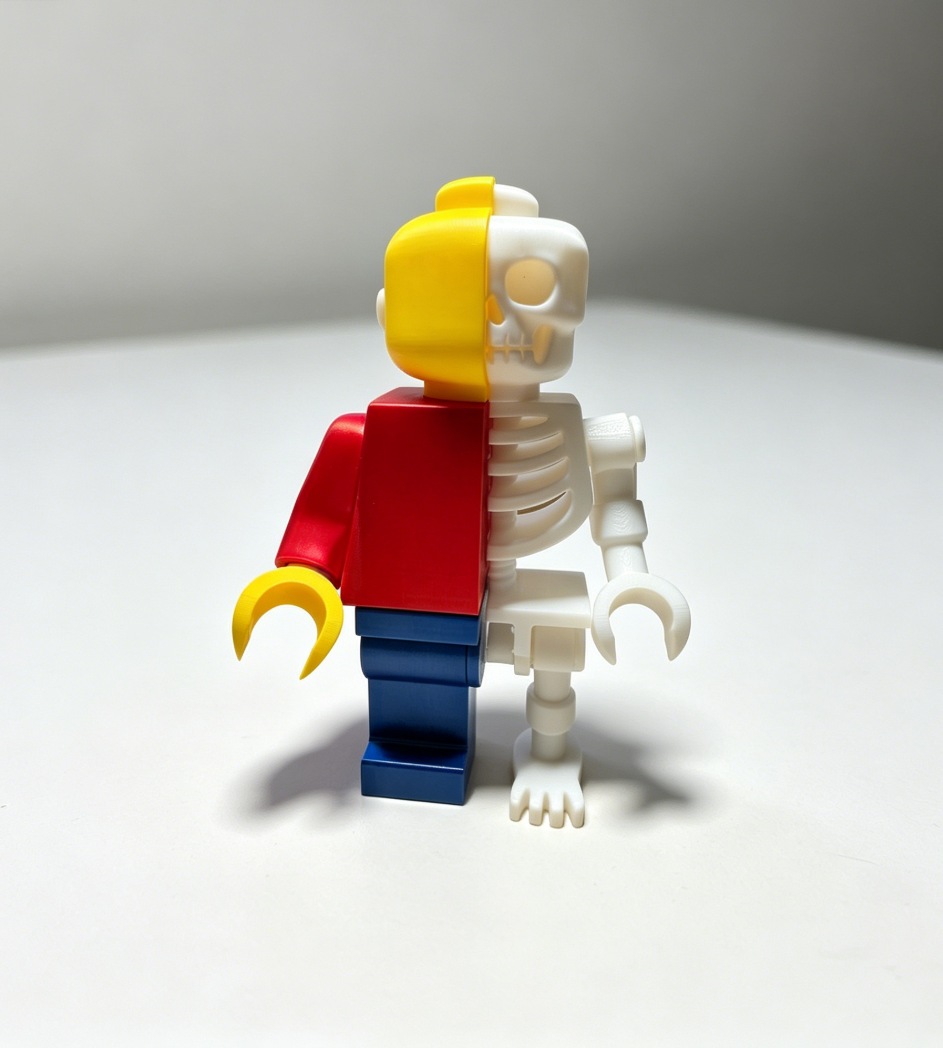 Miniatura 2 do modelo 3D Skel-E-Brick 