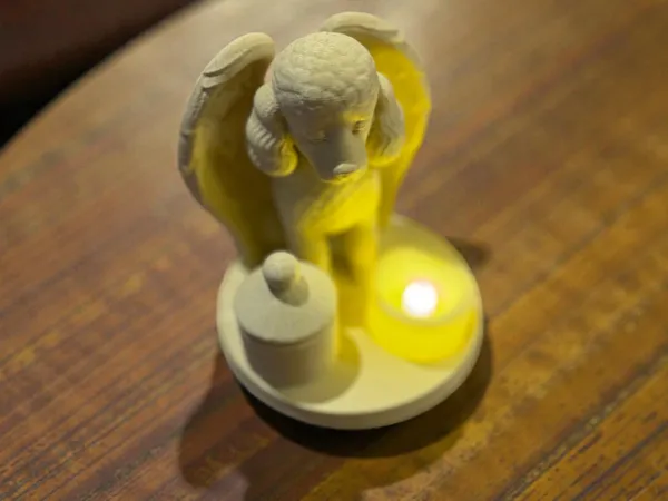 https://makerworld.bblmw.com/makerworld/model/USf601c1e289d6a8/design/2025-12-19_451f317ef202.jpg