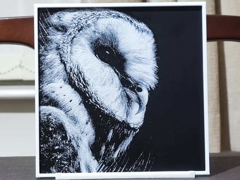 Owl - 2 Color